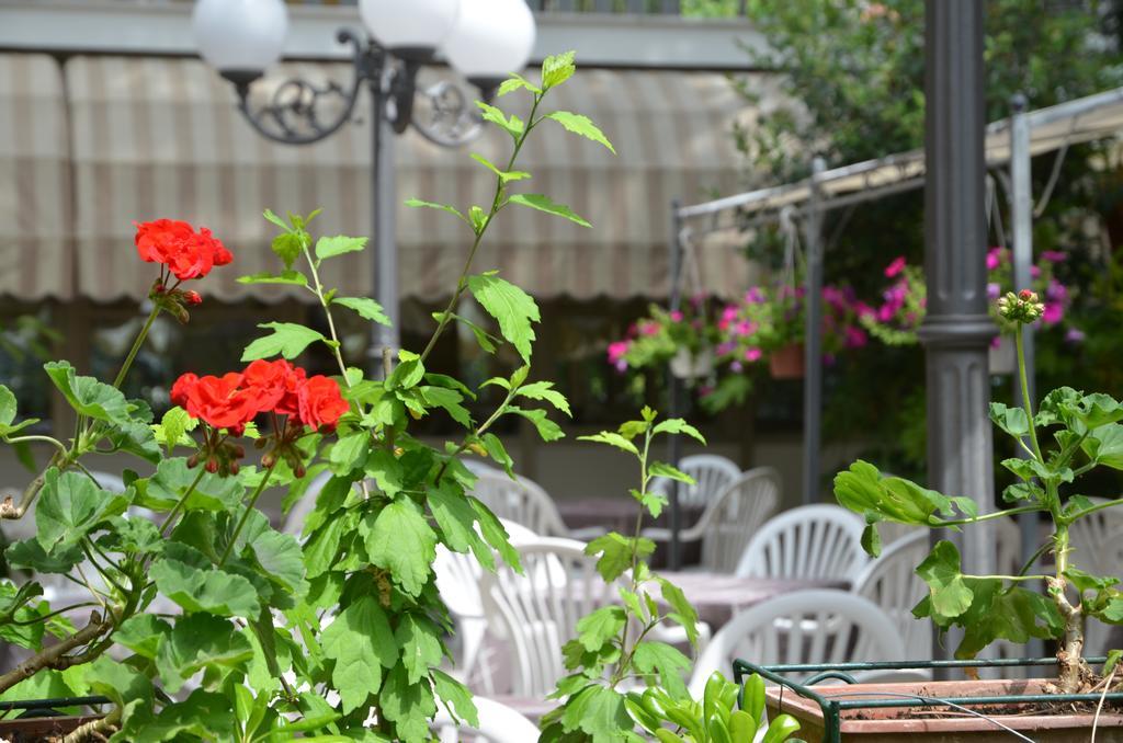 Hotel Monique Cervia Eksteriør billede